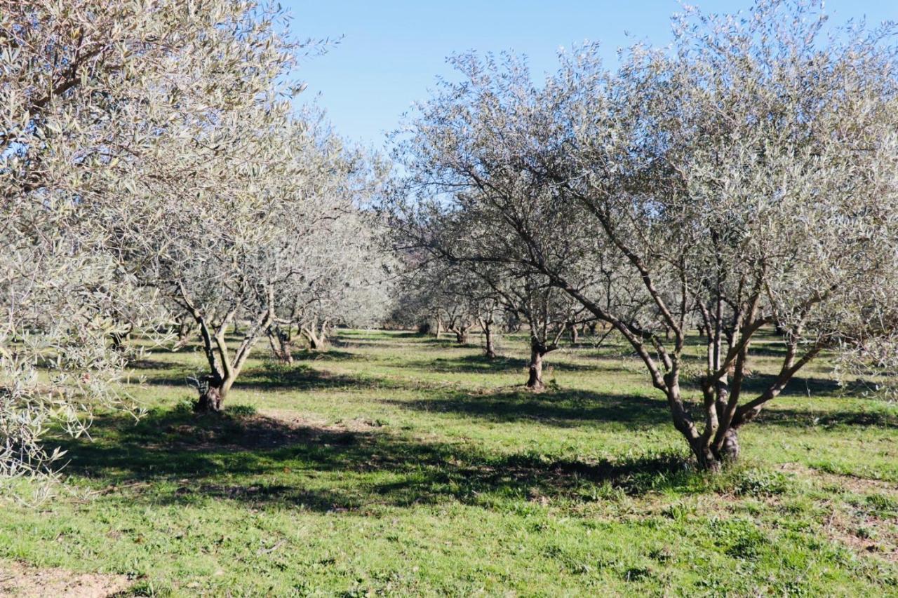 Terre Luberon Hotel Pertuis Bagian luar foto